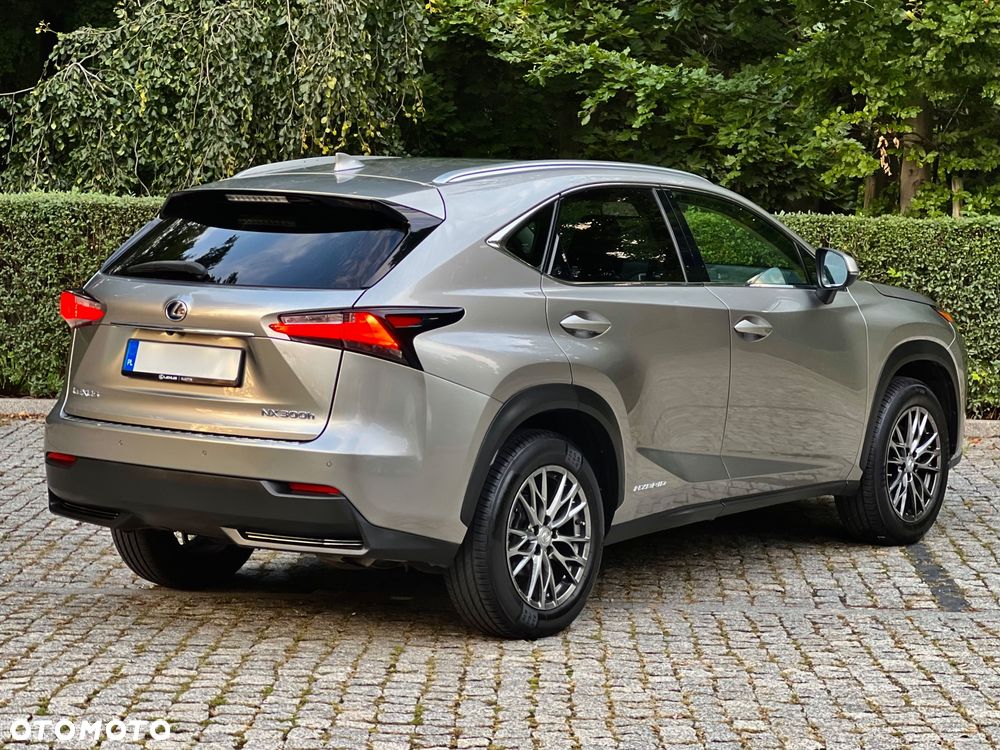 Lexus NX 300h Comfort AWD - 18