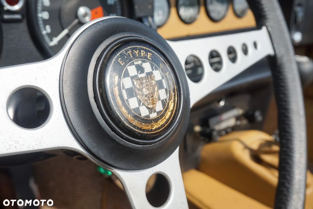 Jaguar E-Type - 29