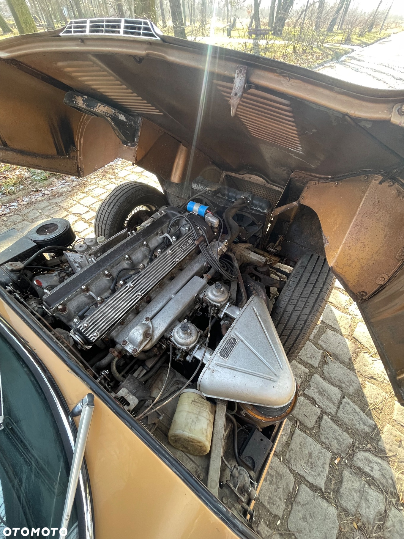 Jaguar E-Type - 11