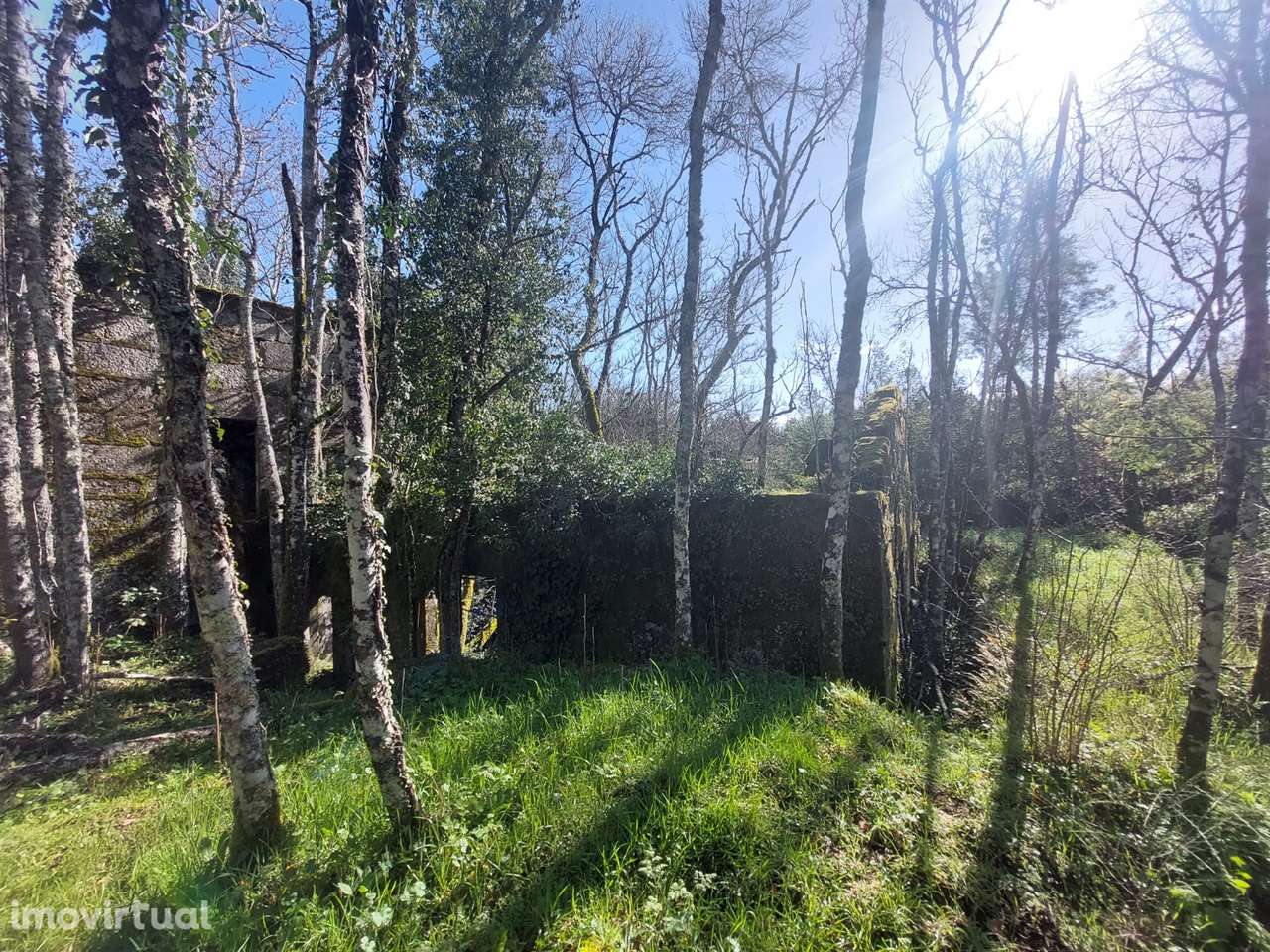 Quinta  Venda em Rio Torto e Lagarinhos,Gouveia - Grande imagem: 3/23