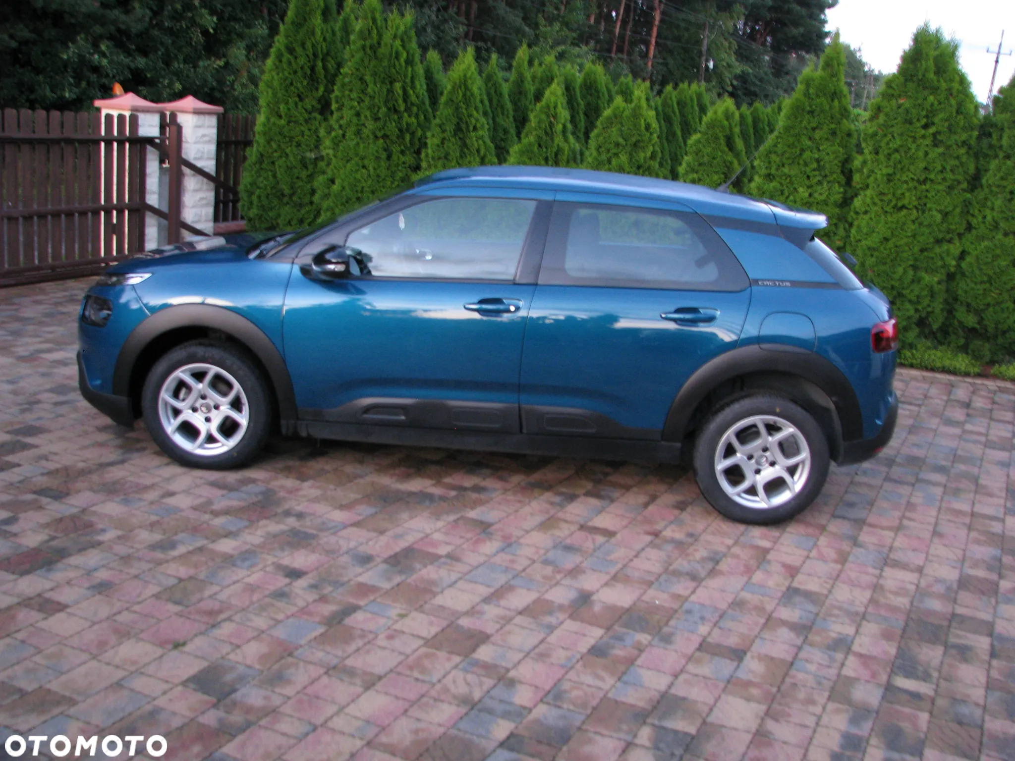 Citroën C4 Cactus 1.2 PureTech Feel S&S - 6