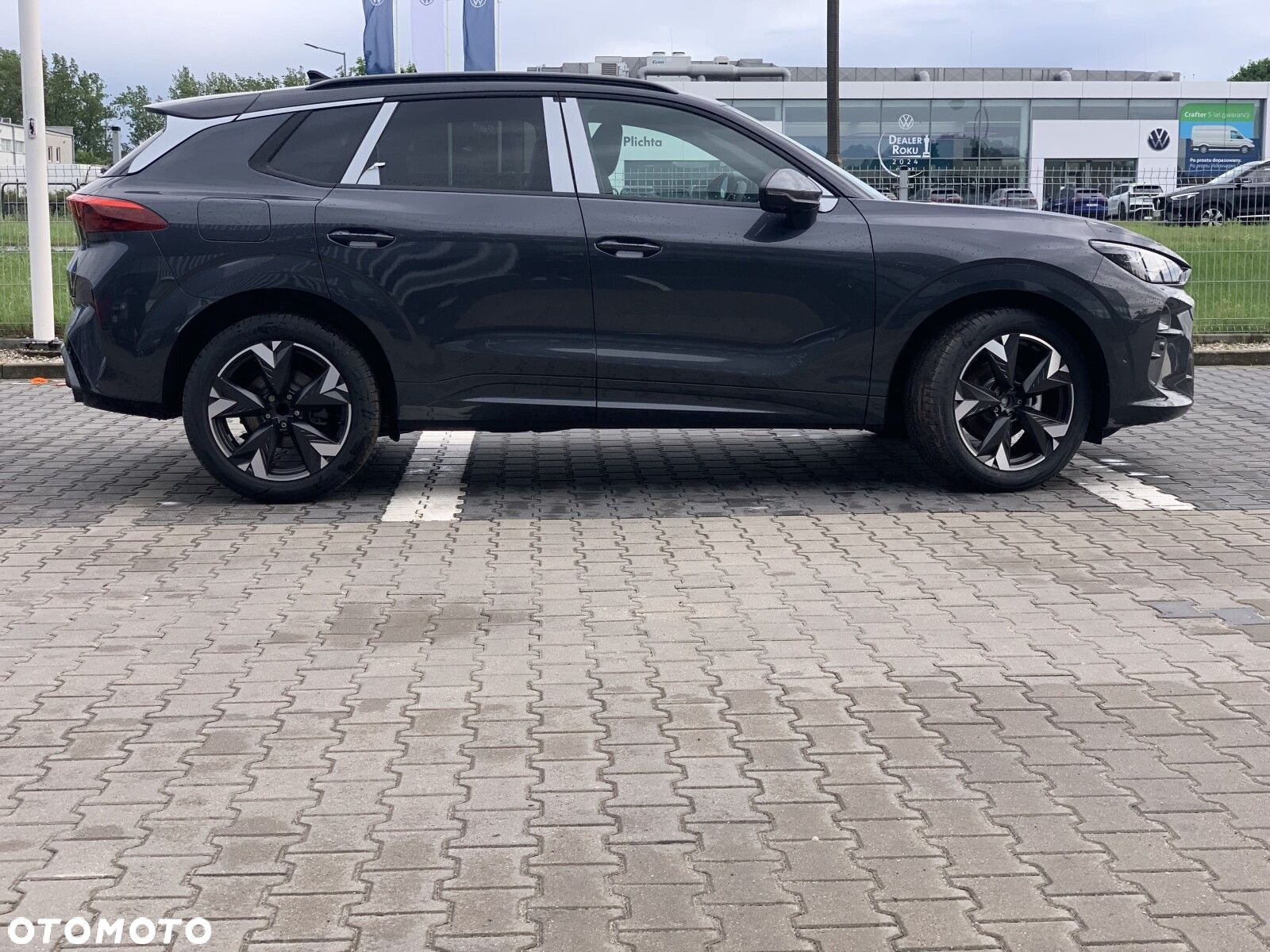 Cupra Terramar - 3