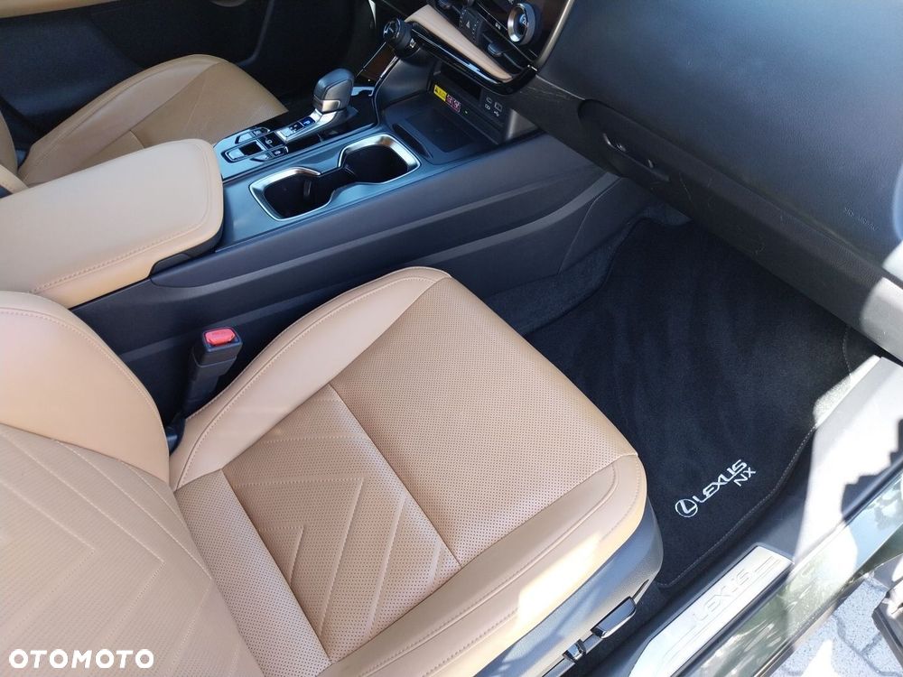 Lexus NX - 10