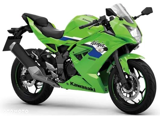 Kawasaki Ninja - 1