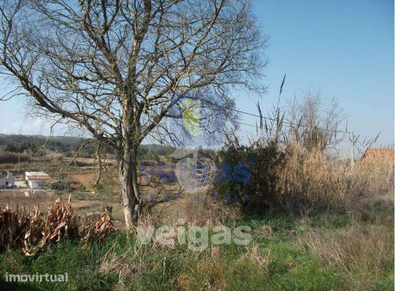 Terreno em A- da-Gorda/Óbidos - Grande imagem: 2/19