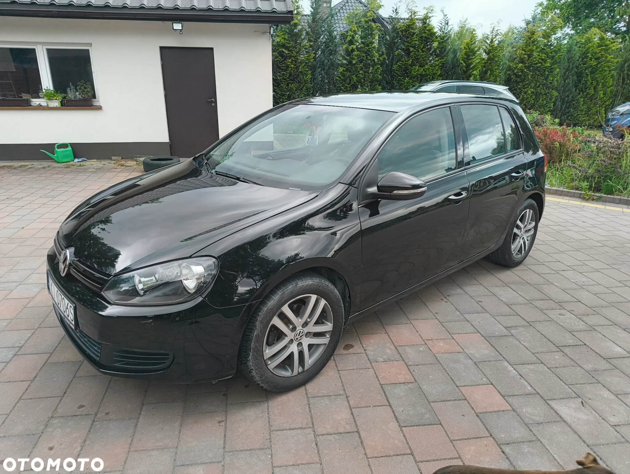 Volkswagen Golf - 13