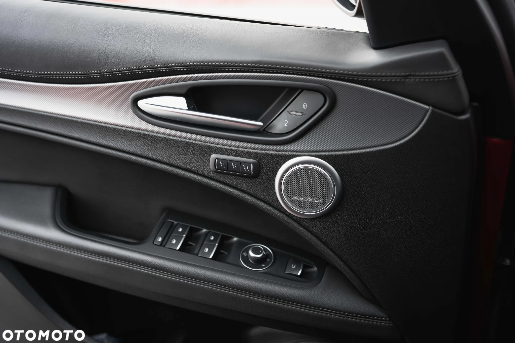 Alfa Romeo Stelvio 2.0 Turbo Veloce Q4 - 21