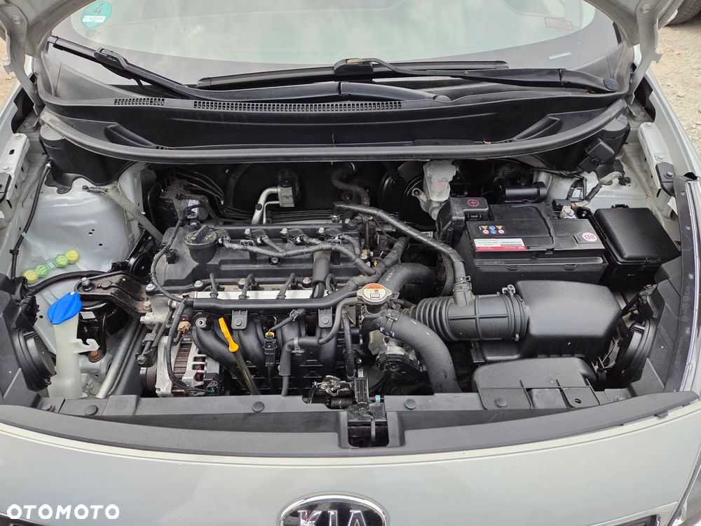 Kia Rio 1.2 Dream Team Edition - 17