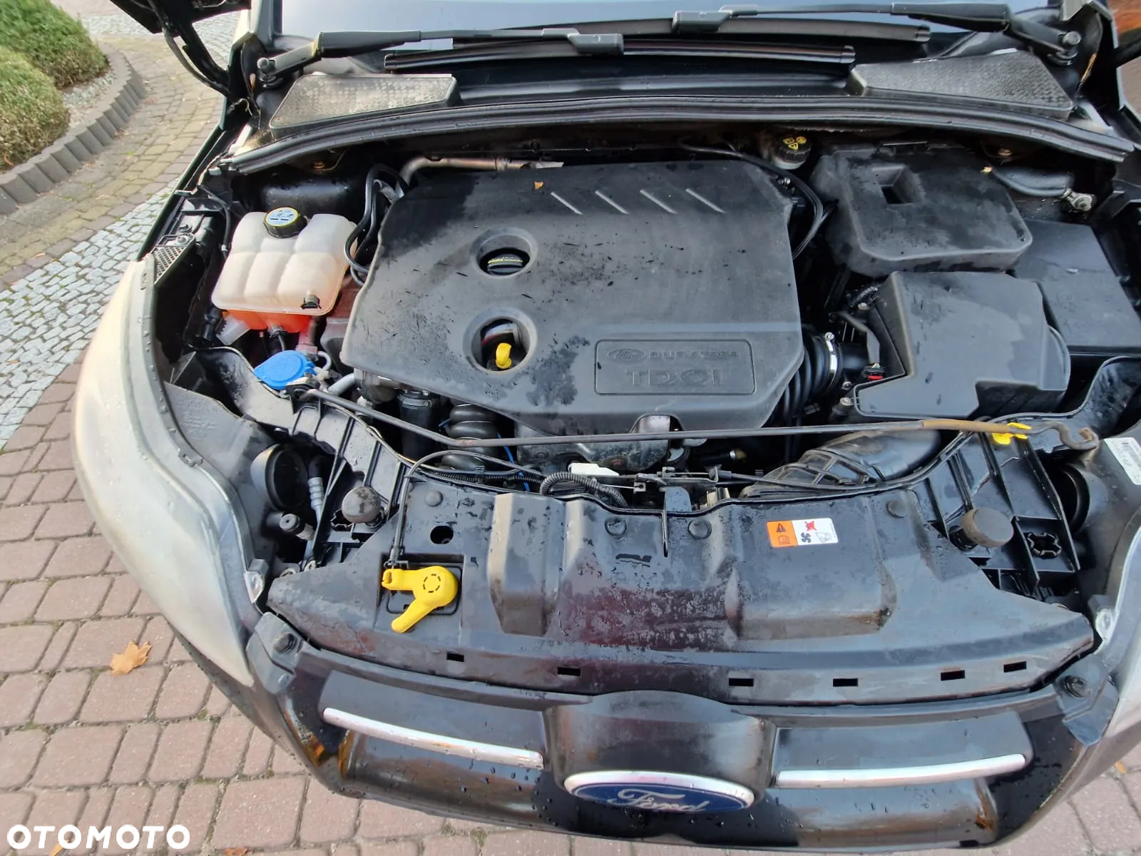 Ford Focus - 23