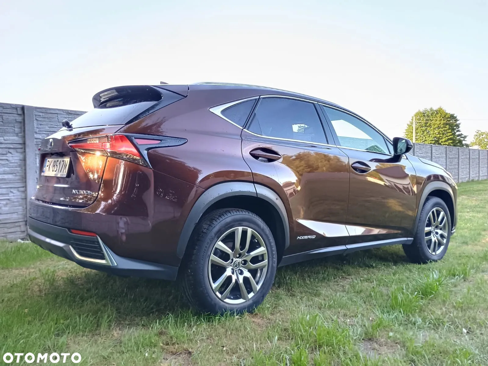 Lexus NX 300h Elegance AWD - 19