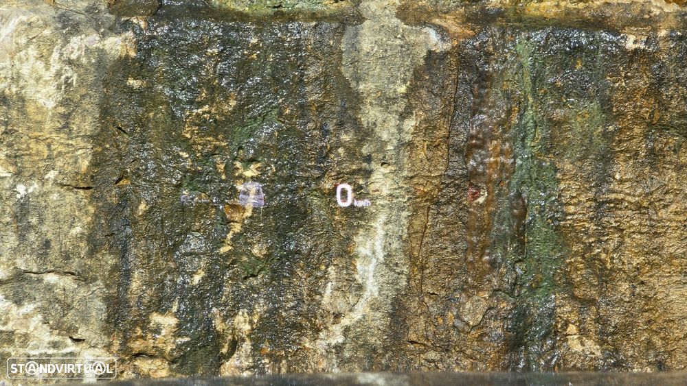 Skoda Enyaq iV 80 - 20