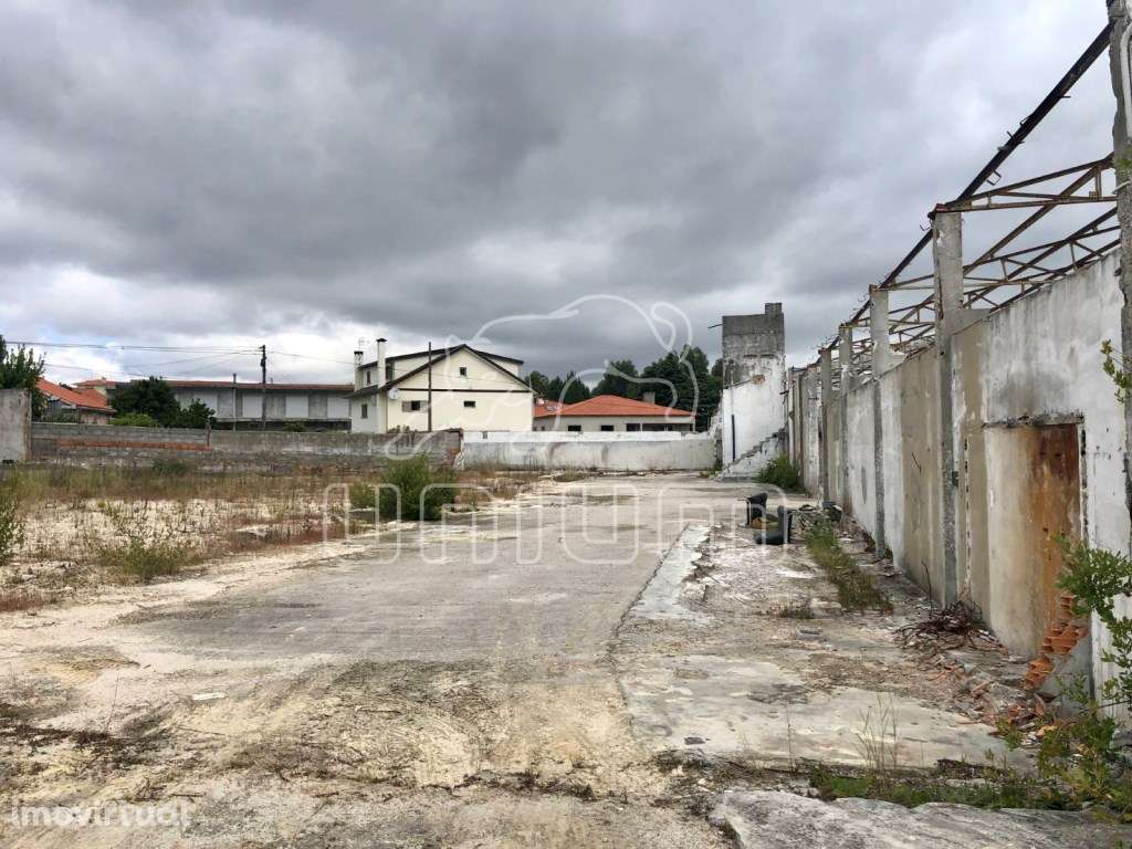 Terreno Geraz do Lima - Grande imagem: 5/9