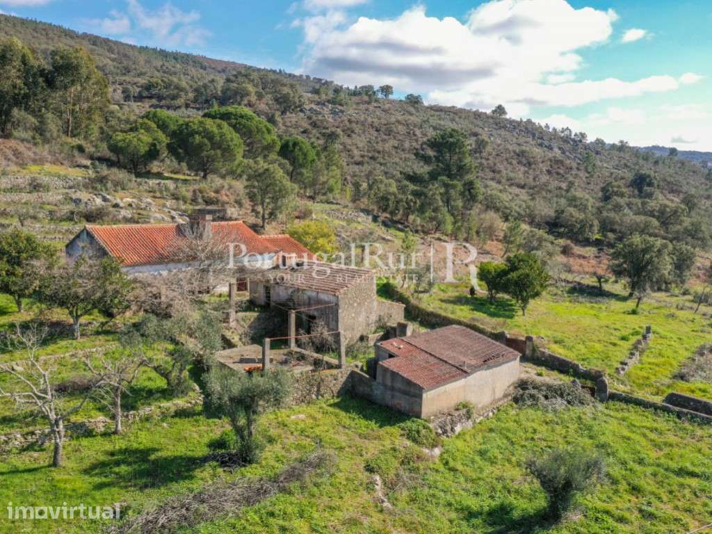 Quinta com casa e várias dependências em Castelo de Vide - Grande imagem: 5/37