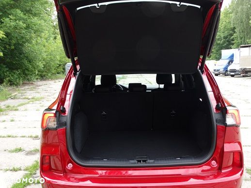 Ford Kuga 2.0 EcoBlue AWD ST-Line X - 6
