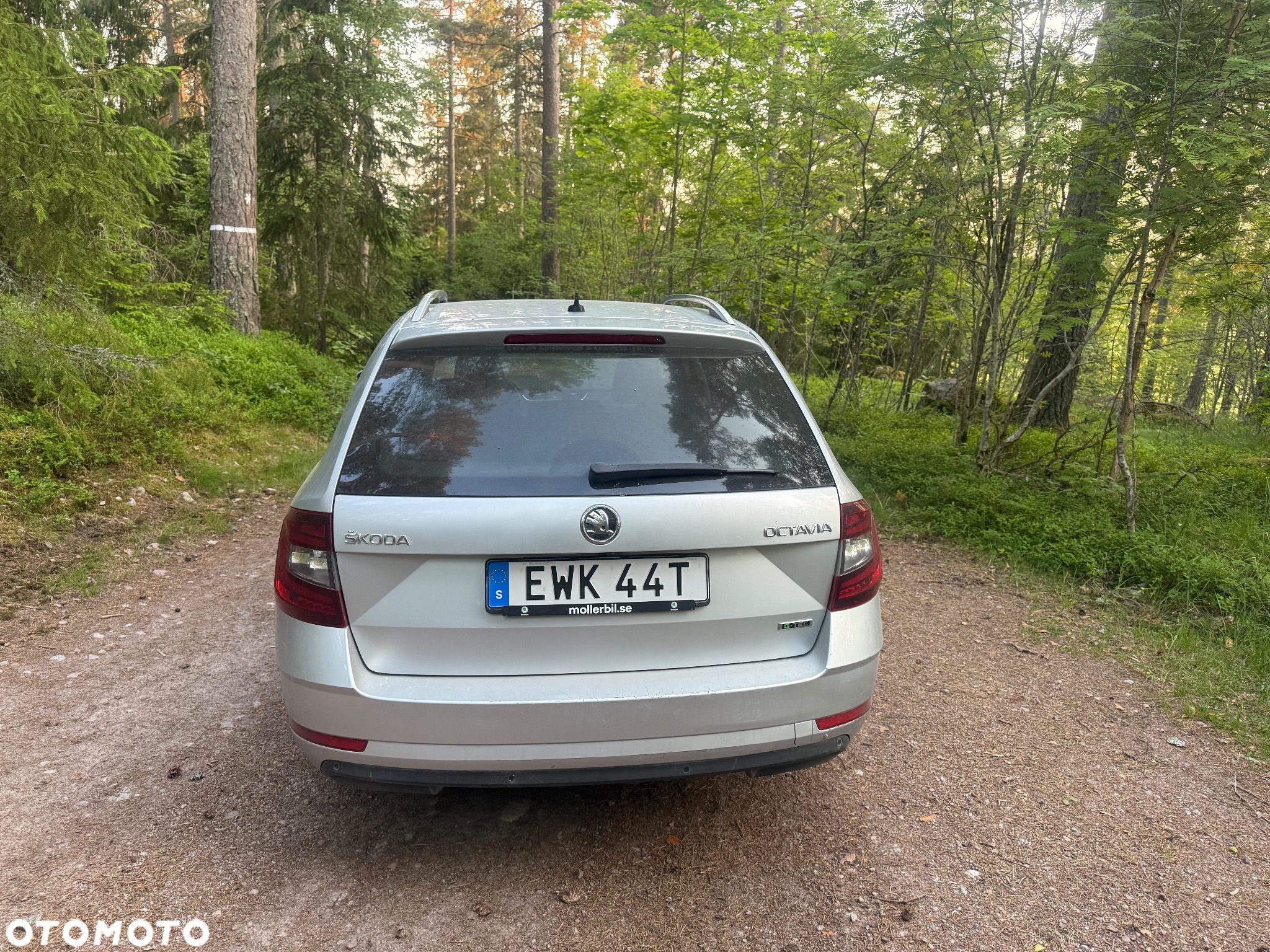 Skoda Octavia 1.5 TSI mHEV Edition 130 Selection DSG - 2