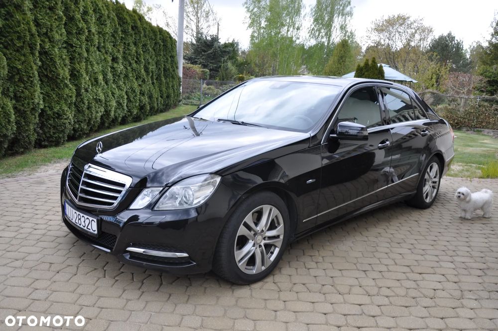Mercedes-Benz Klasa E 250 CDI DPF BlueEFFICIENCY Automatik Avantgarde - 31