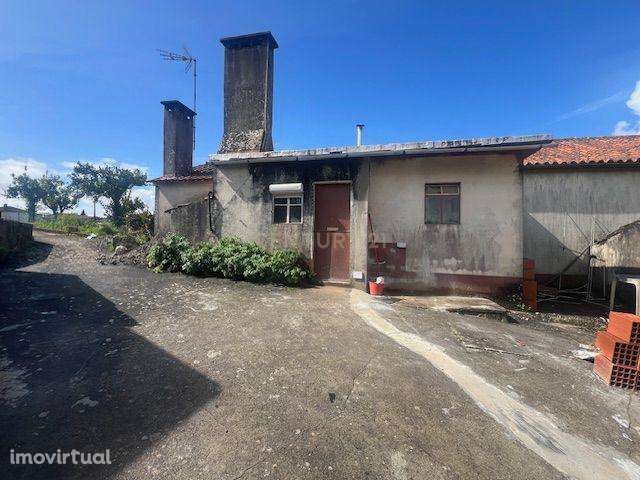 Moradia em Arega em Figueiró em Vinhos - Grande imagem: 4/18