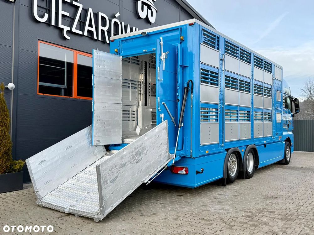 MAN TGX 26.540 // E6 // Zabudowa PEZZAIOLI // 3 poziomy hydraulika, podnoszony dach, rampa hydrauliczna // do żywca, do bydła, do transportu zwierząt - 18