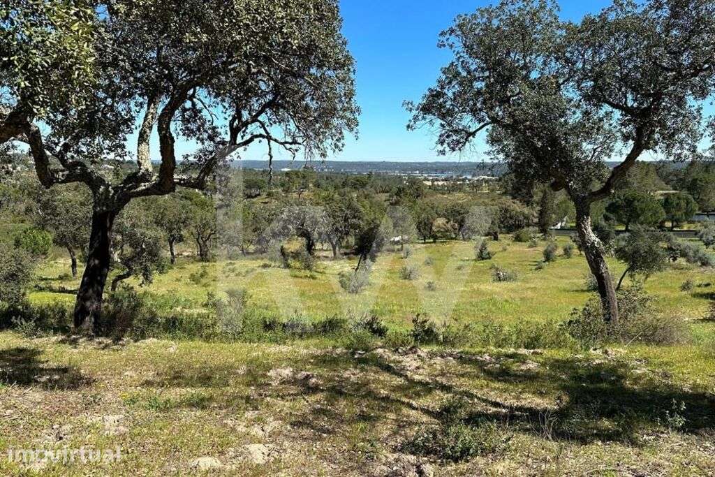 Terreno 5,1ha Montargil - Grande imagem: 2/19