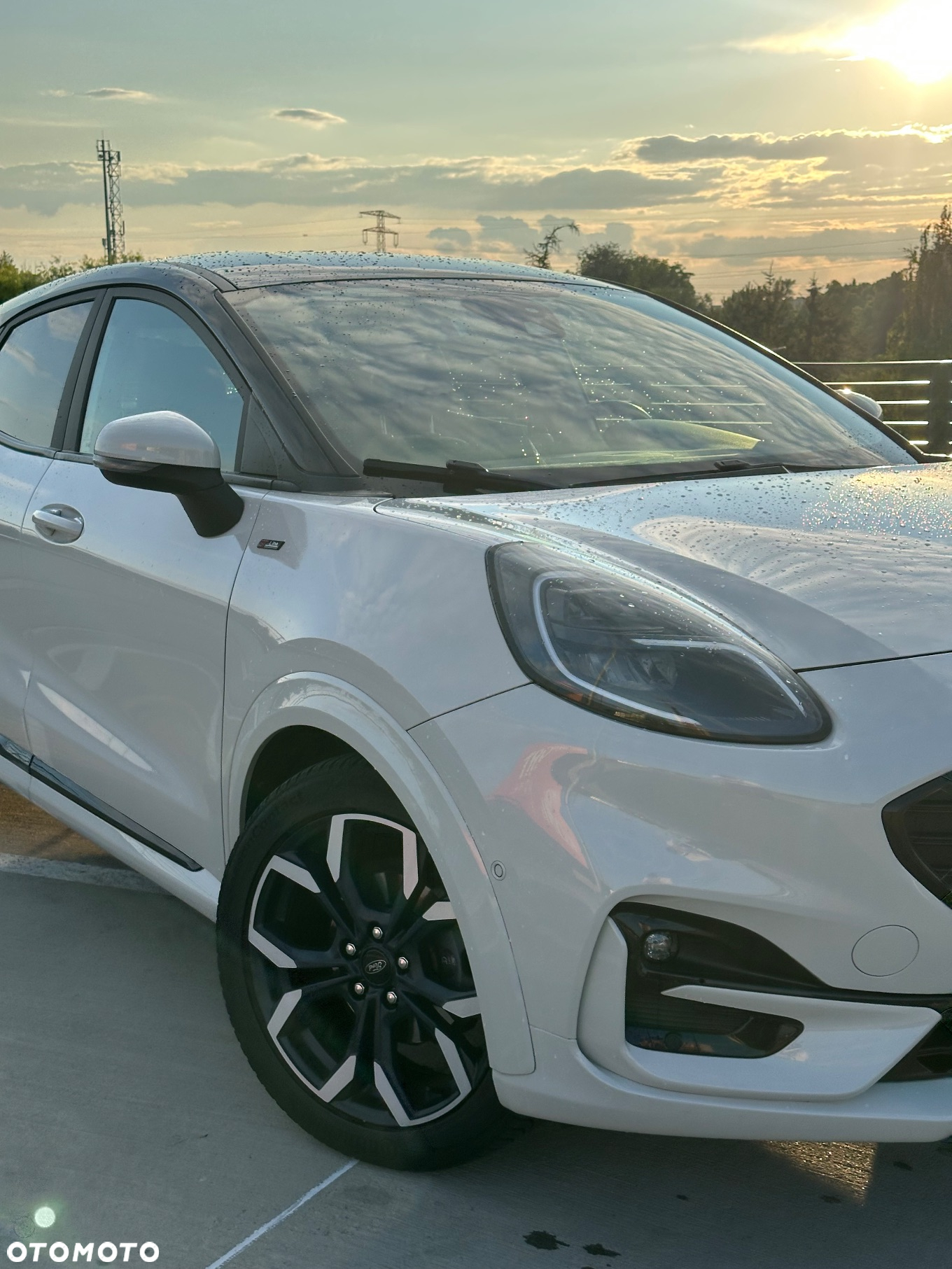 Ford Puma 1.0 EcoBoost mHEV ST-Line X - 5