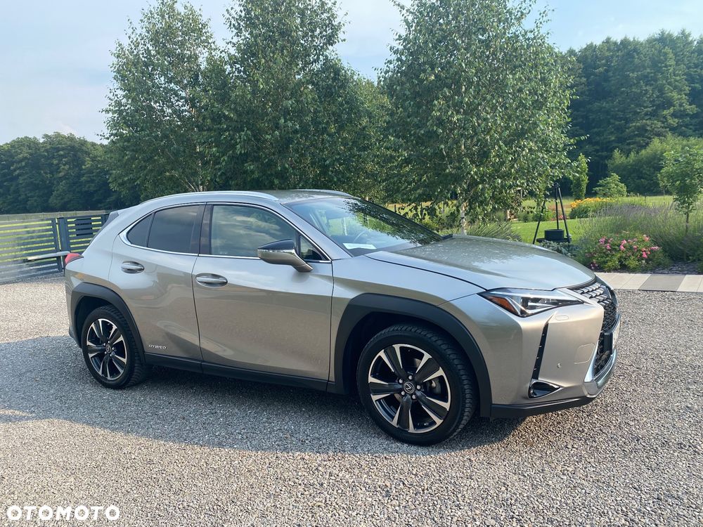 Lexus UX - 11