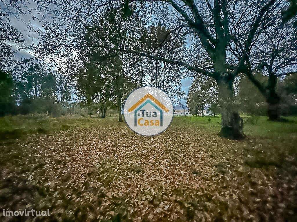 Terreno Rústico com Viabilidade de Construção em São Pedro do Sul - Grande imagem: 3/17