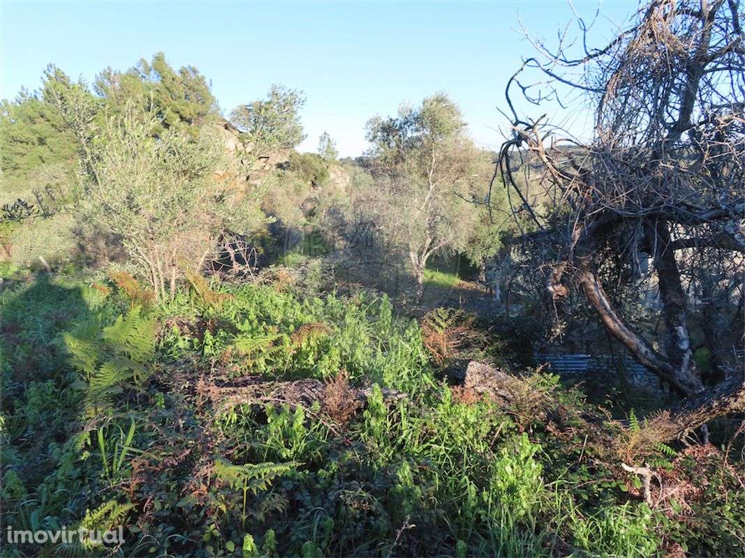 Quinta  para venda - Grande imagem: 3/7