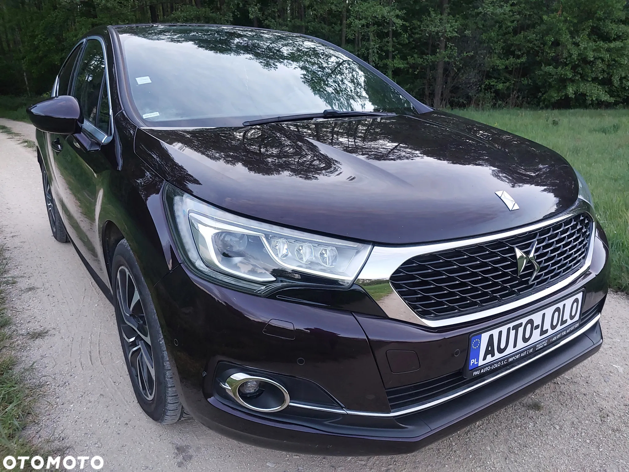 DS Automobiles DS 4 - 9