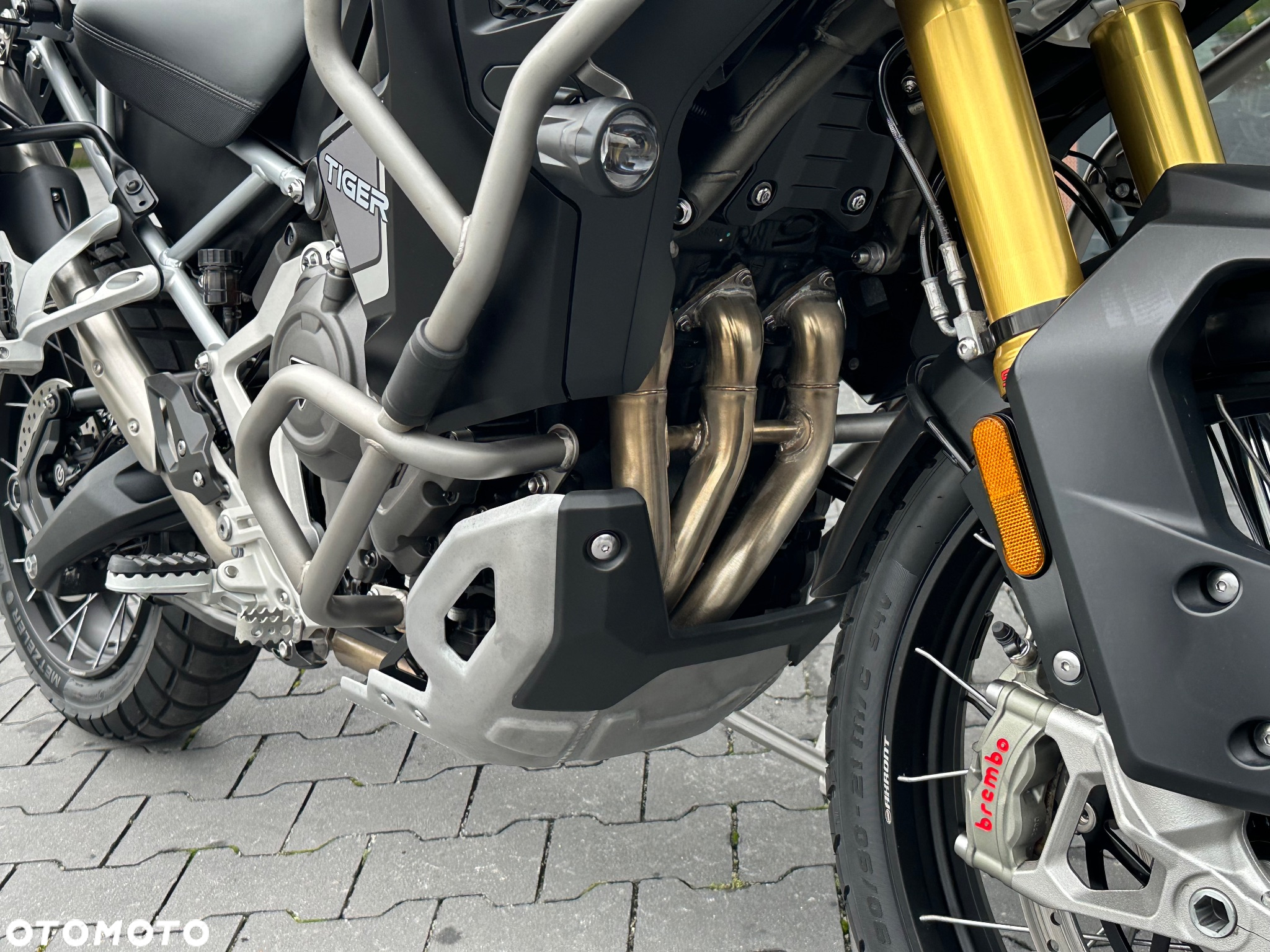 Triumph Tiger - 18