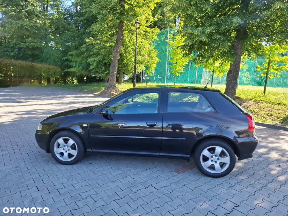 Audi A3 3-drzwiowe 1.6 Ambition - 13