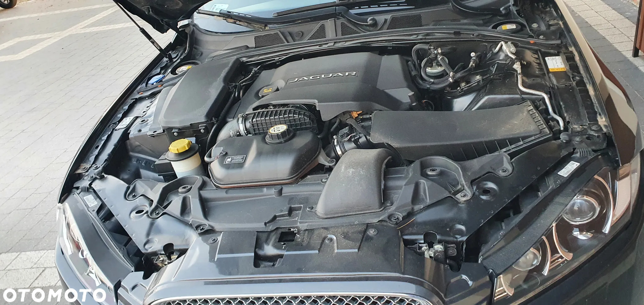 Jaguar XF - 10