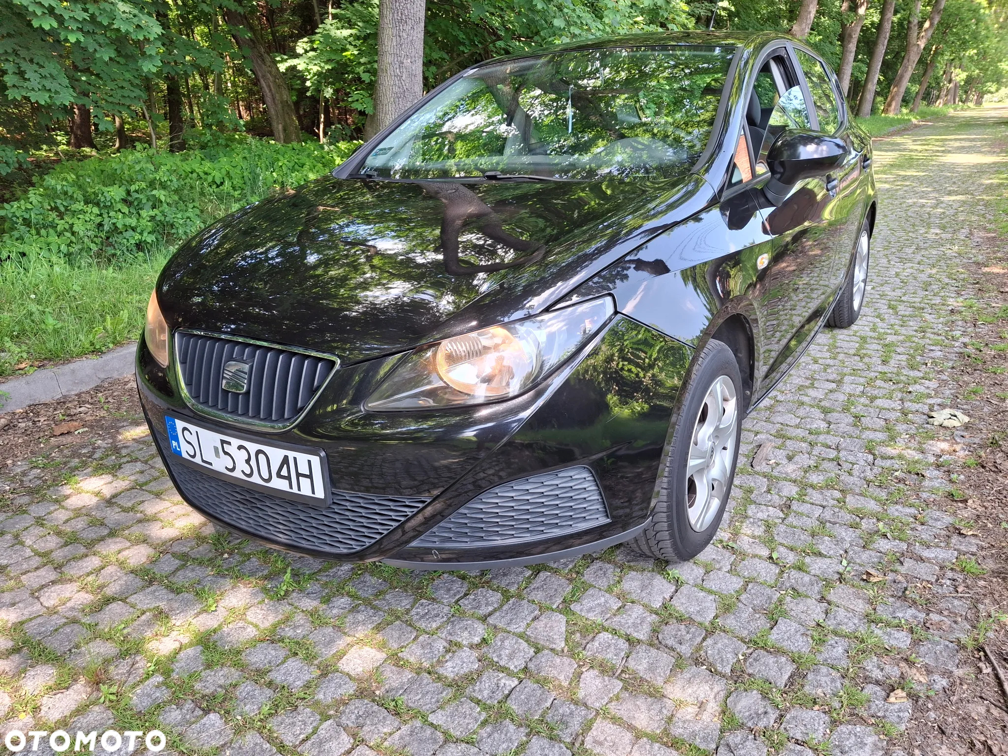 Seat Ibiza - 22