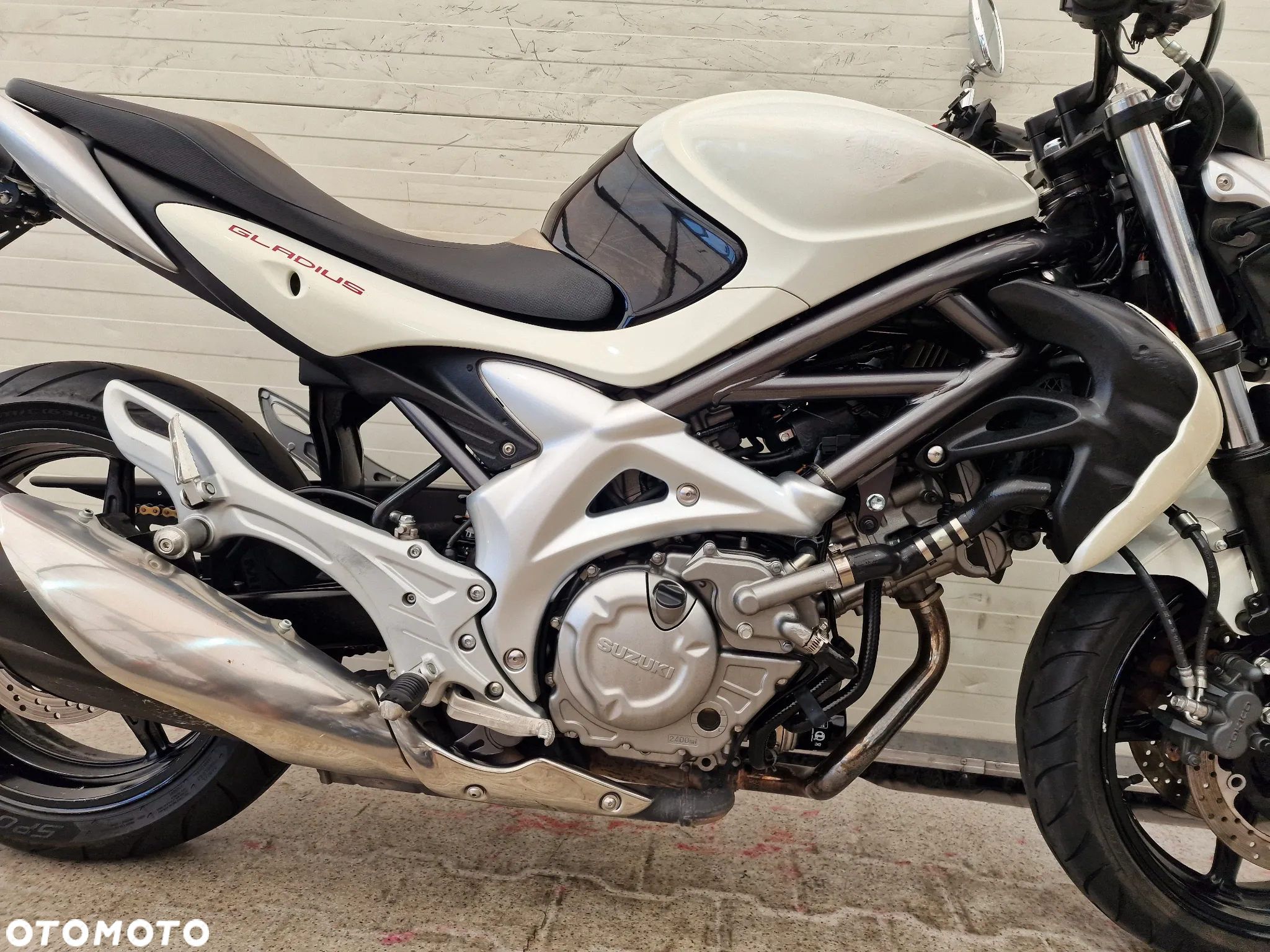 Suzuki Gladius - 24
