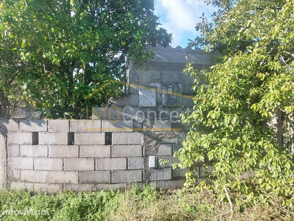 Terreno Rústico - Tomar | 960m2 de Natureza - Grande imagem: 2/18