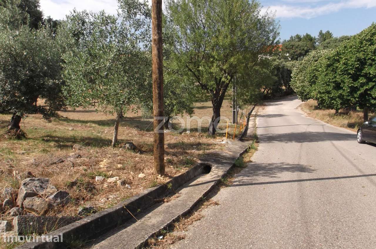 TERRENO URBANO EM TOMAR - Grande imagem: 3/12