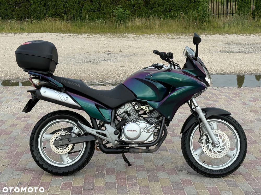 Honda Varadero - 5