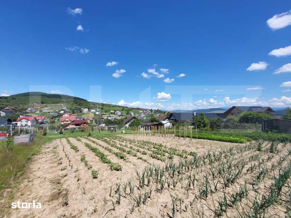 Teren 1400 mp – Zona Drumul Tarpiului - Imagine principală: 4/6