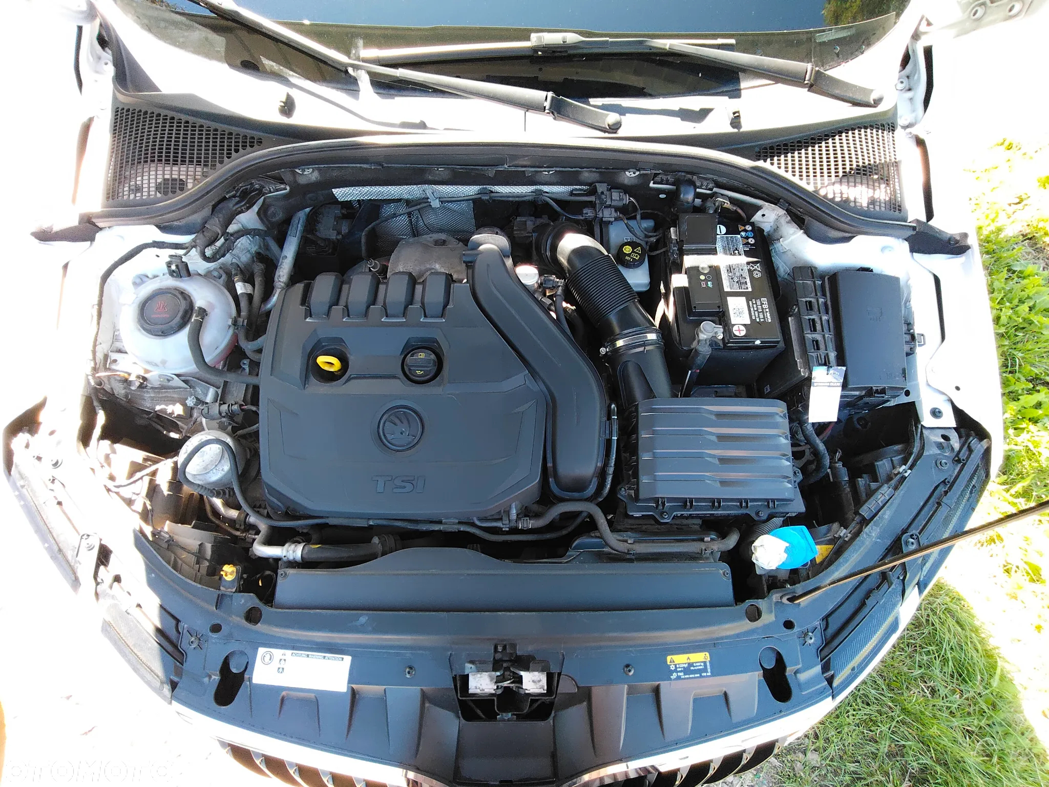 Skoda Octavia 1.5 TSI ACT Ambition - 24