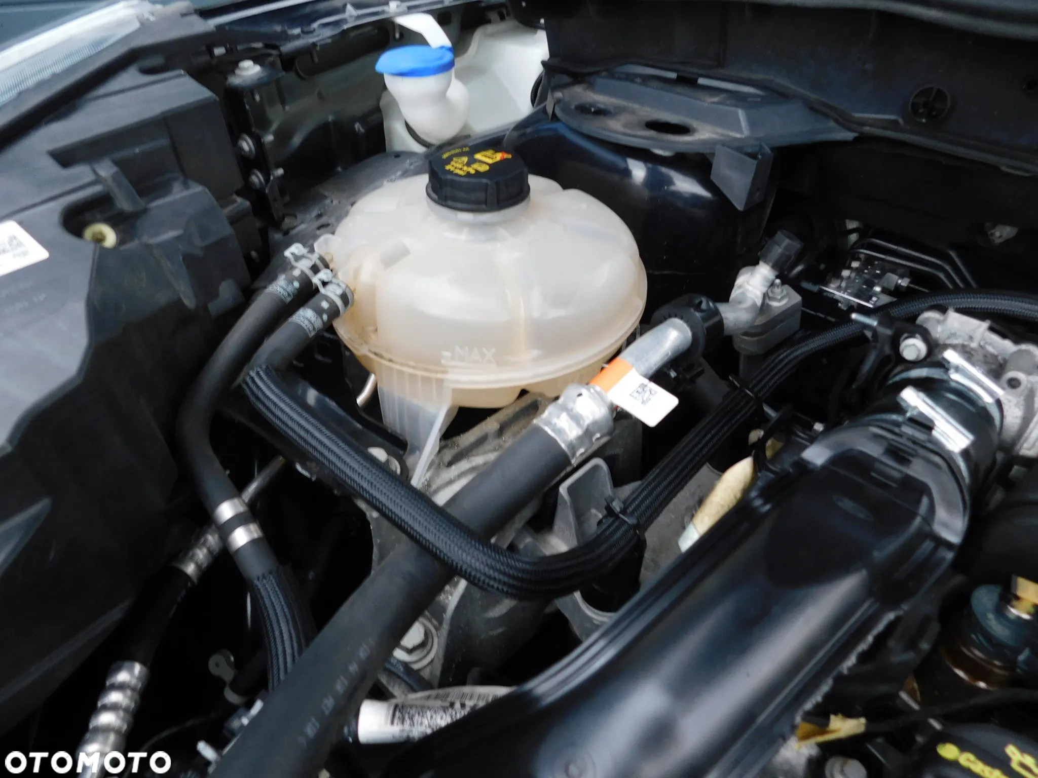 Ford Kuga 1.5 EcoBlue FWD ST-Line - 10