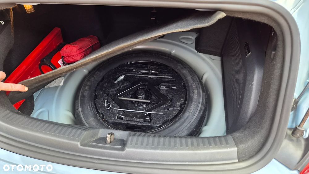 Volkswagen Beetle - 18