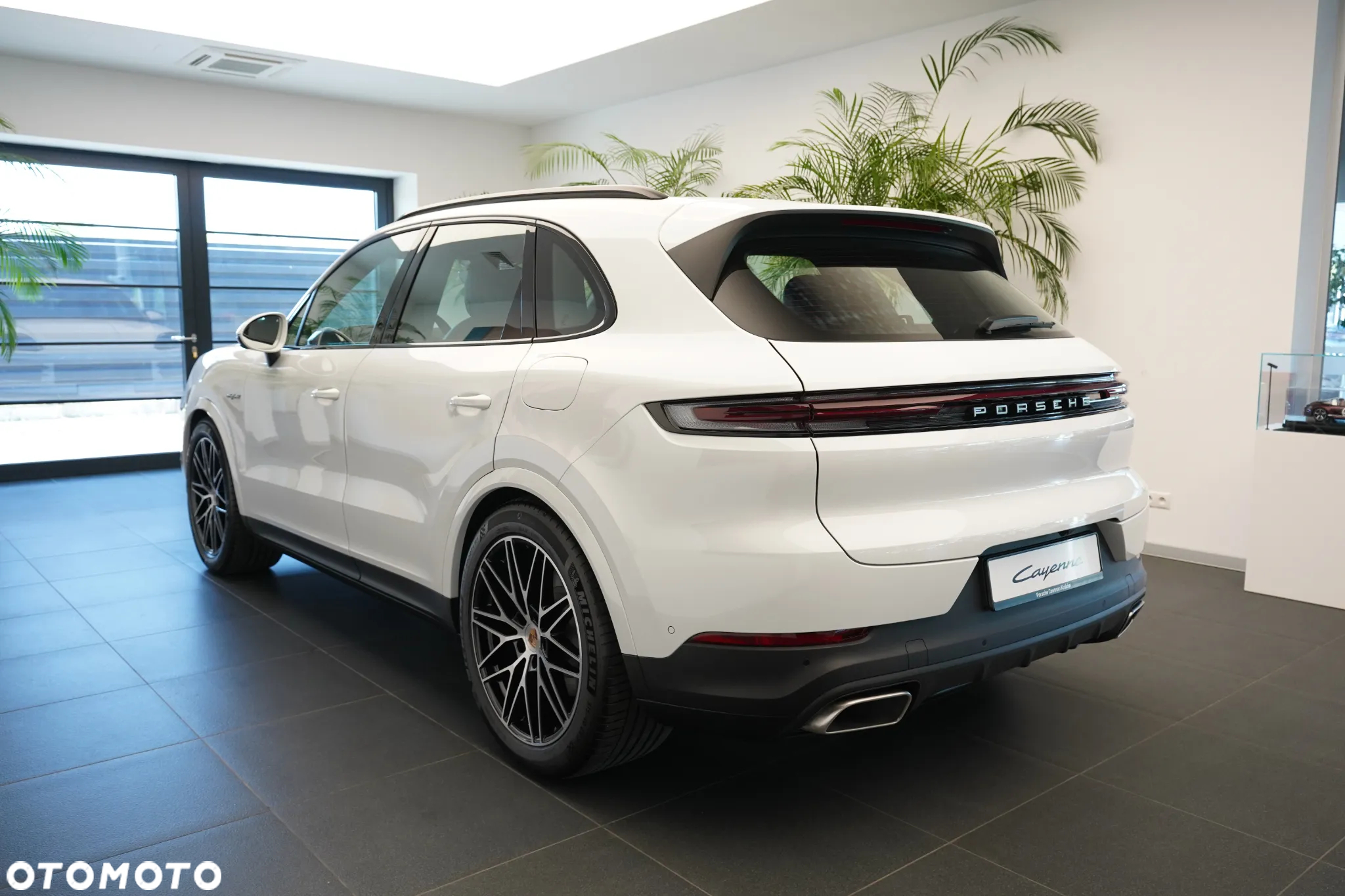 Porsche Cayenne E-Hybrid - 2