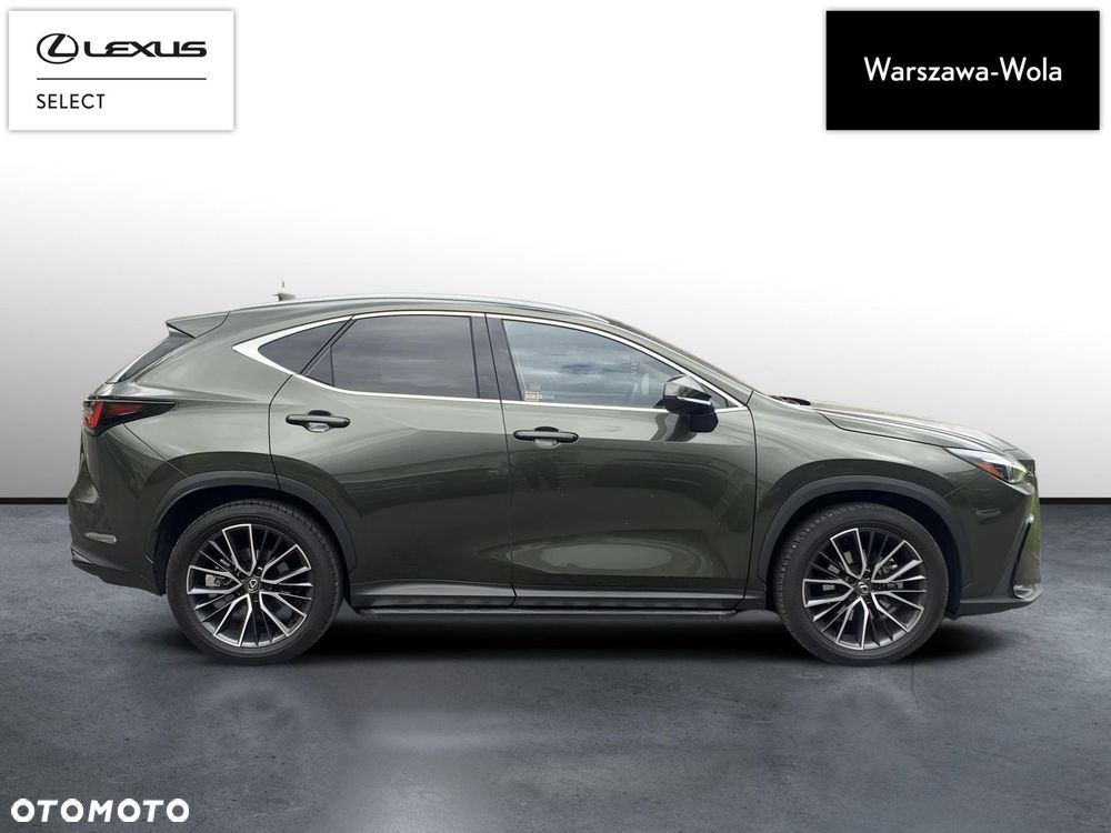 Lexus NX - 6