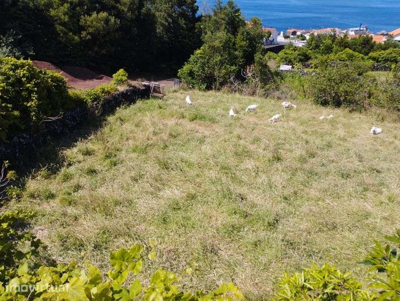 Terreno Santo Amaro do Pico com “ PIP aprovado” - Grande imagem: 4/5