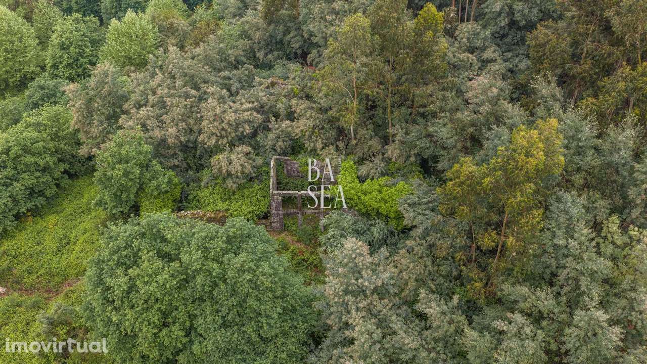 Quinta em ruína com 9.6 ha de terreno em São Clemente Fafe - Grande imagem: 2/29