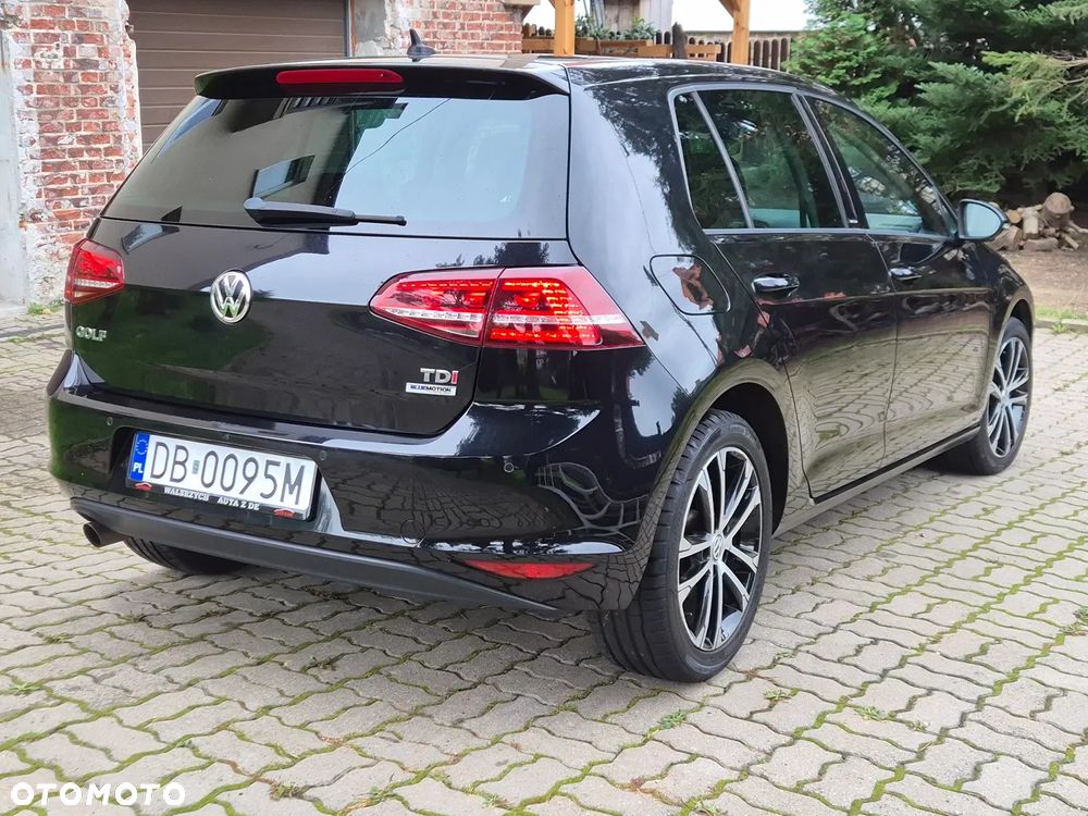Volkswagen Golf 1.6 TDI BlueMotion Technology Allstar - 4