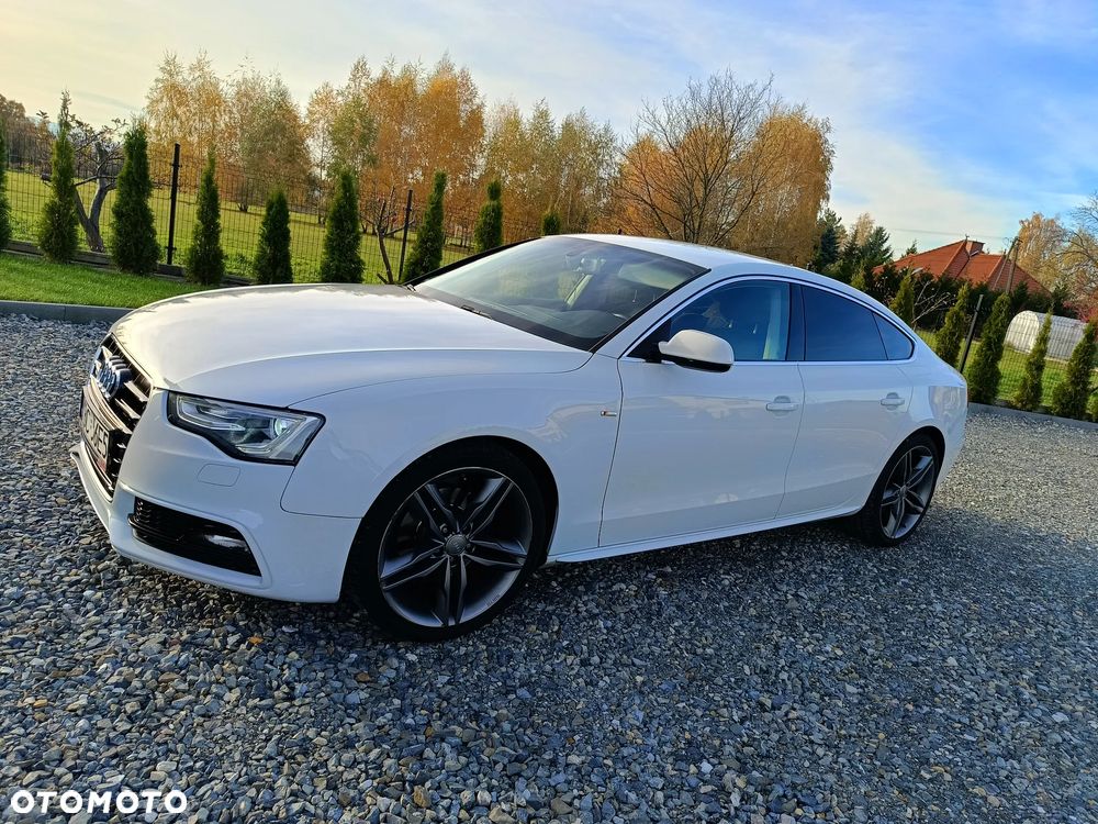 Audi A5 Sportback 2.0 TDI clean diesel Quattro S tronic - 1