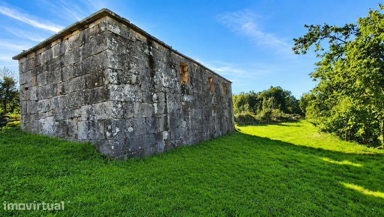 Terreno em Oliveira de Frades - Viseu - Grande imagem: 4/10