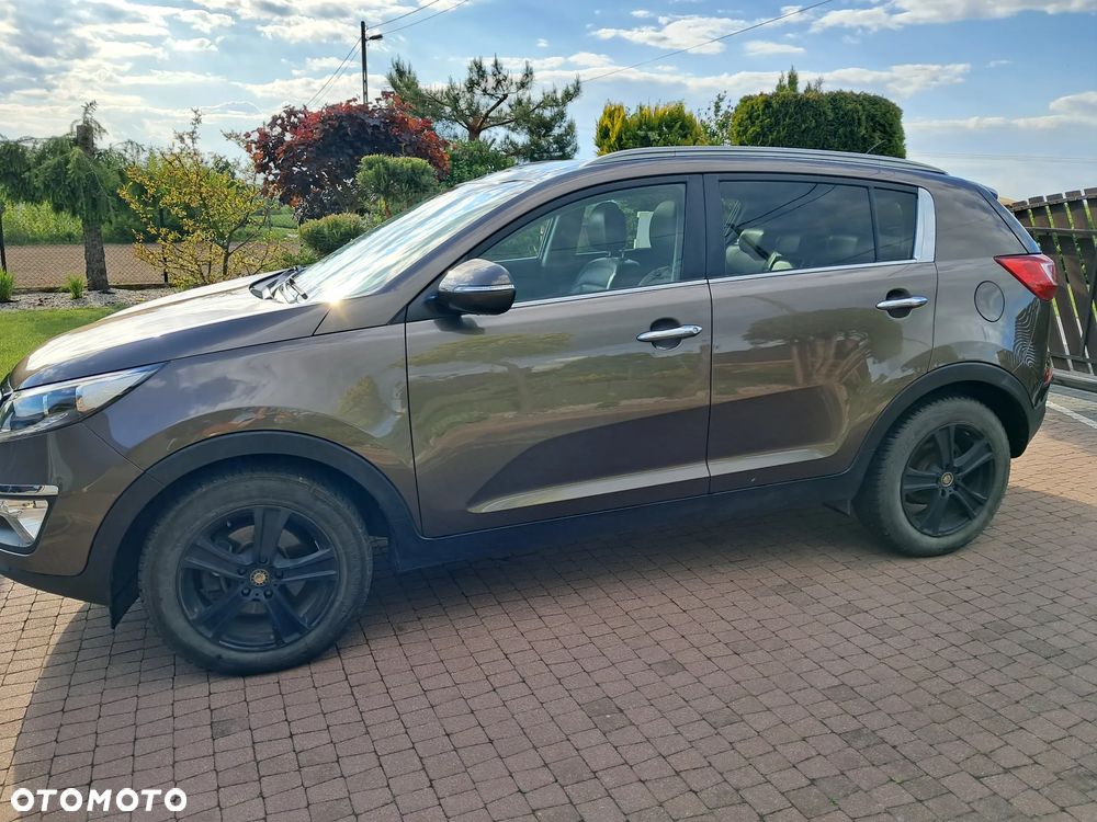 Kia Sportage - 14