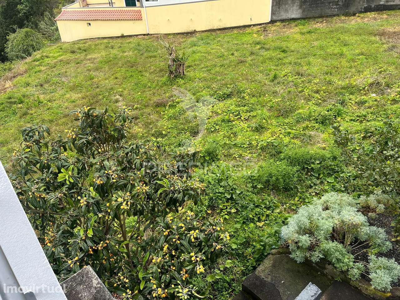 MORADIA T3 COM 2.000M2 DE TERRENO EM S. VICENTE - Grande imagem: 5/17