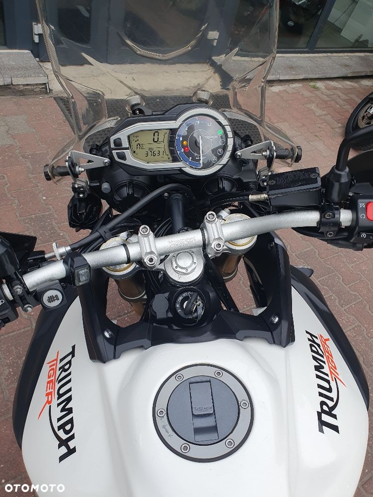 Triumph Tiger - 12